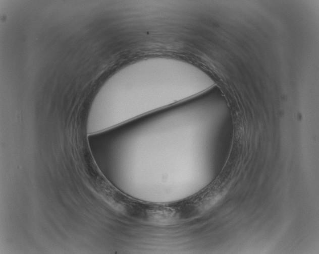 X0000068840215200605050952