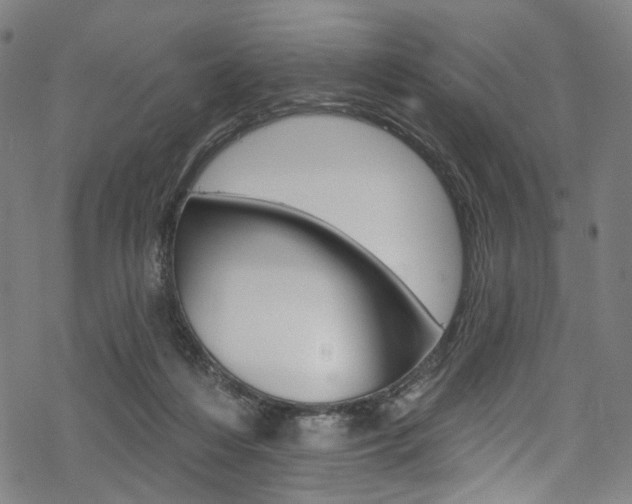 X0000068840216200605050952