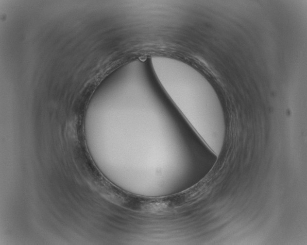 X0000068840217200605050952