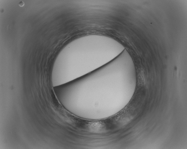 X0000068840218200605050952