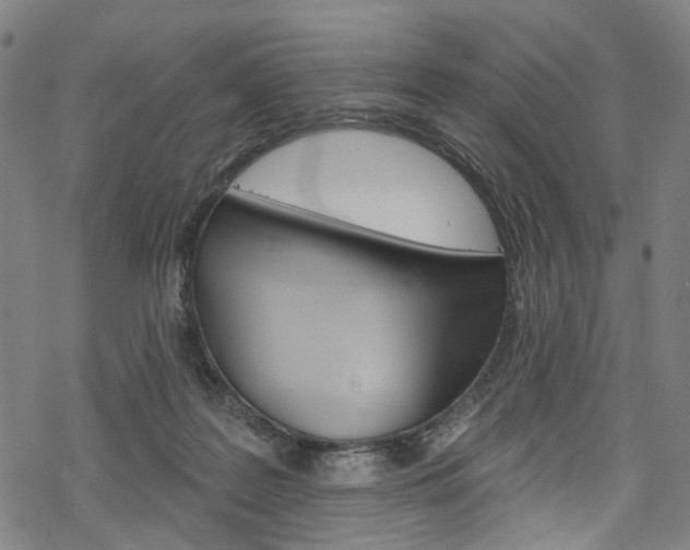 X0000068840219200605050952