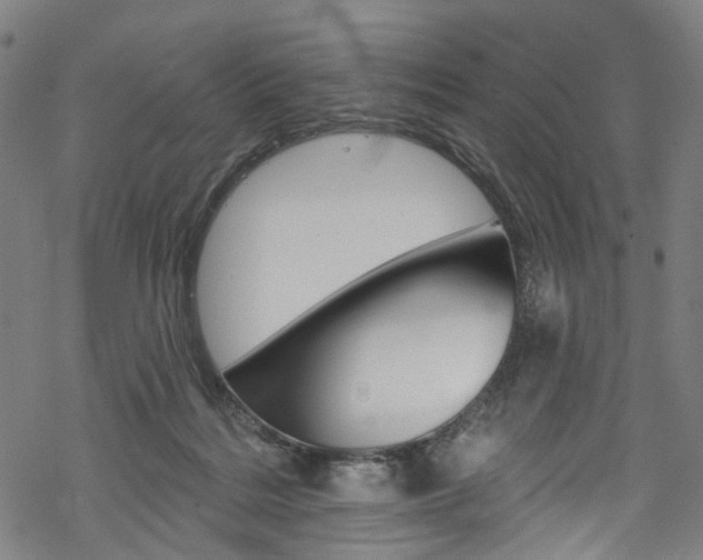 X0000068840220200605050952