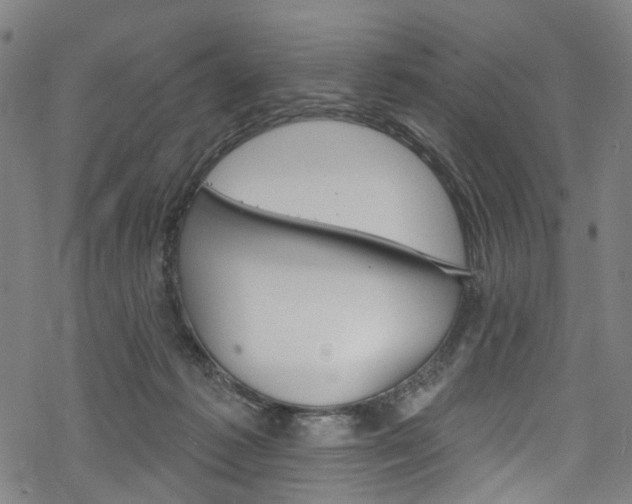 X0000068840221200605050952