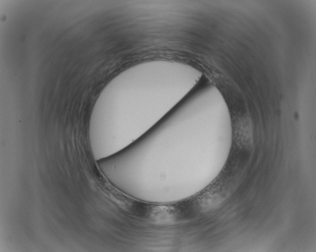 X0000068840222200605050952