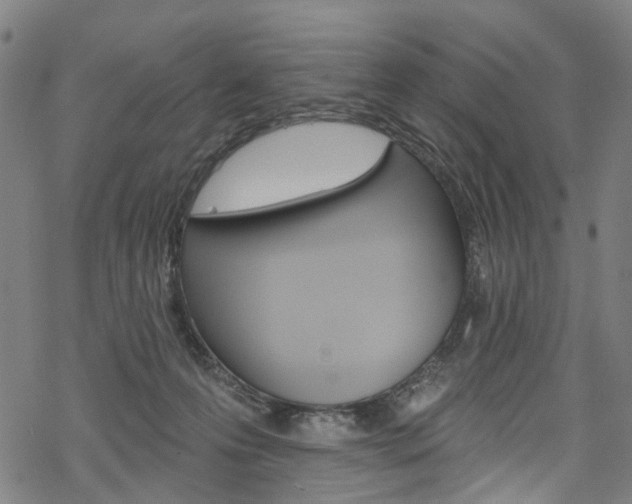 X0000068840223200605050952