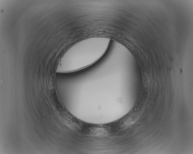 X0000068840224200605050952