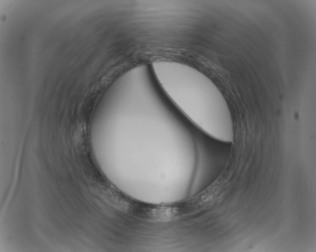 X0000068840225200605050952