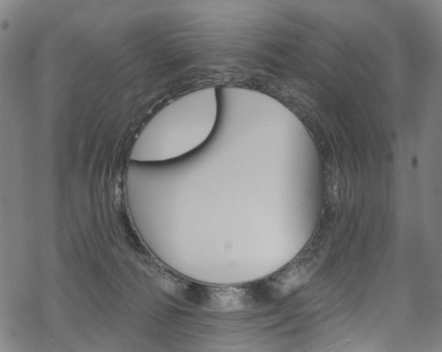 X0000068840226200605050952