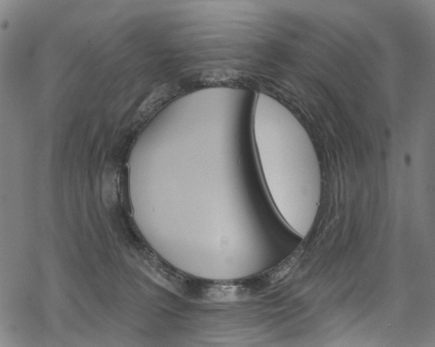 X0000068840227200605050952