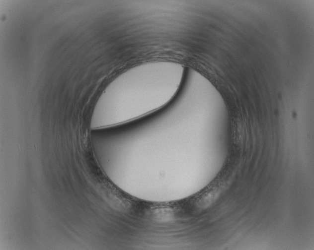 X0000068840228200605050952