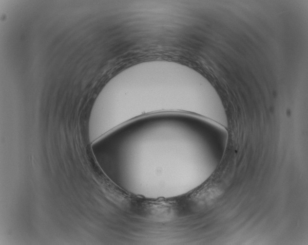 X0000068840229200605050951