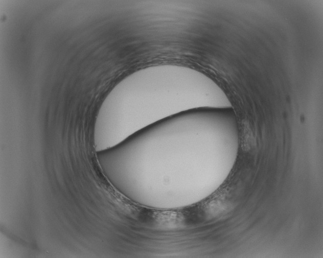 X0000068840230200605050951