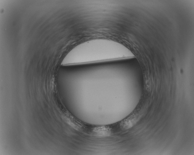 X0000068840231200605050951