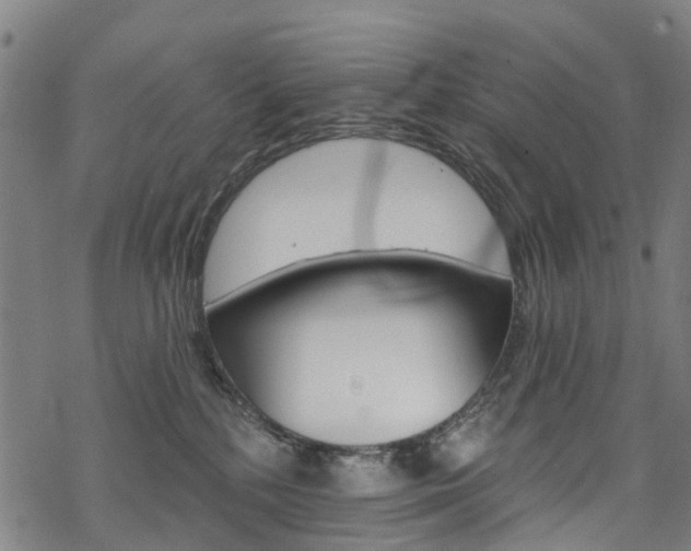 X0000068840232200605050951