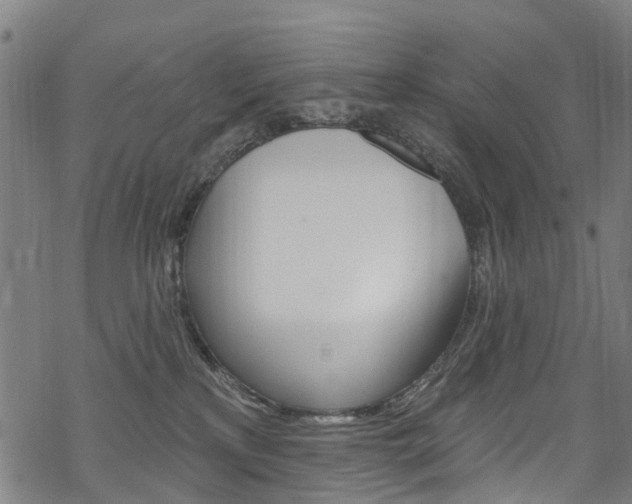 X0000068840233200605050951