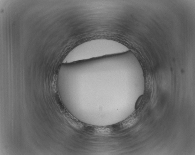 X0000068840234200605050951