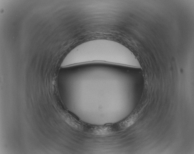 X0000068840235200605050951