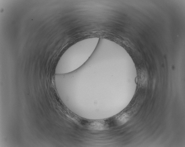 X0000068840236200605050951