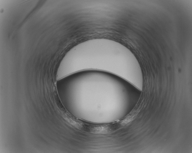 X0000068840237200605050951