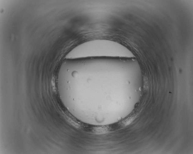 X0000068840238200605050951