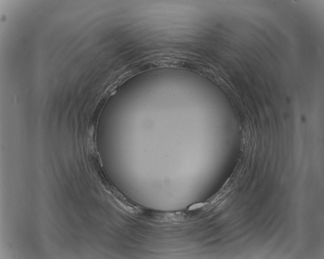 X0000068840239200605050951