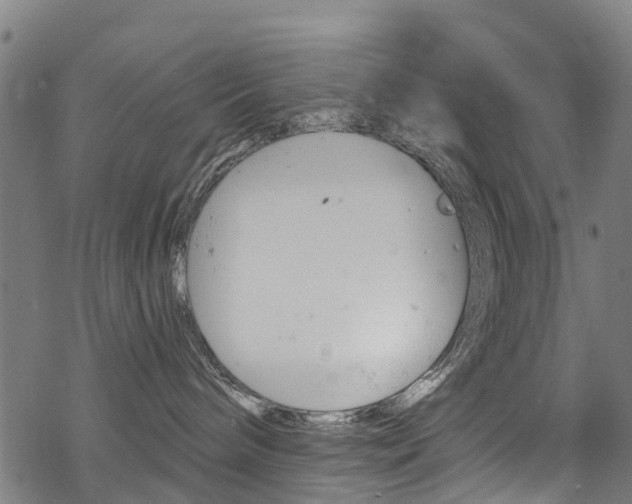 X0000068840240200605050951