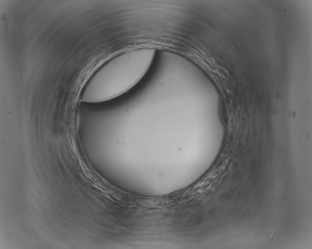 X0000068840241200605050951