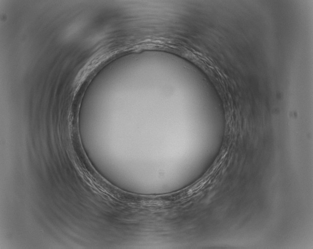 X0000068840242200605050951