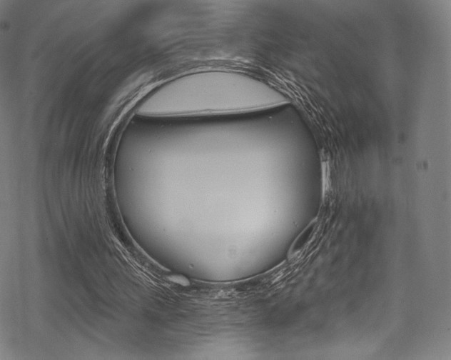 X0000068840243200605050951