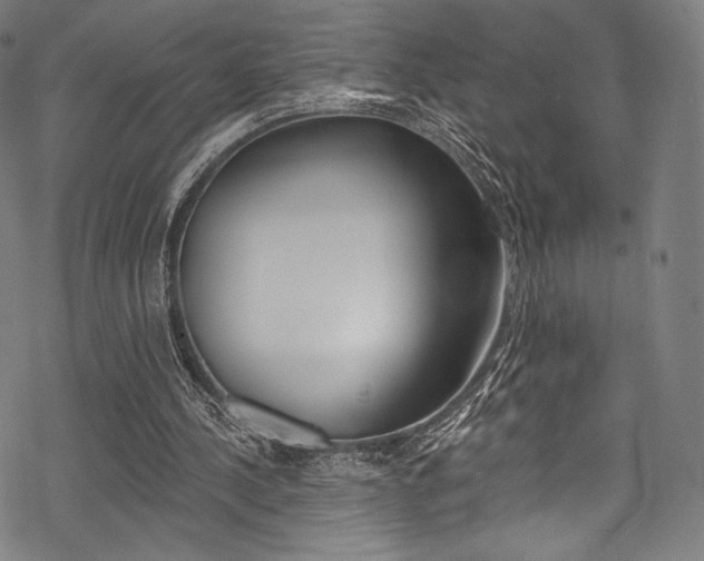 X0000068840244200605050951