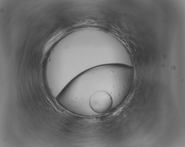 X0000068840245200605050951