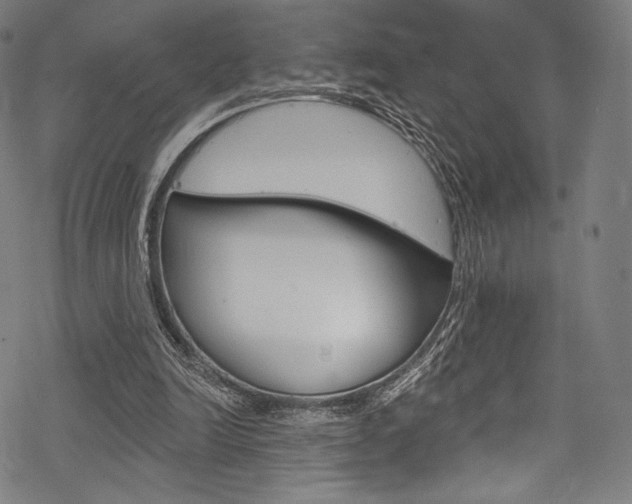 X0000068840246200605050951