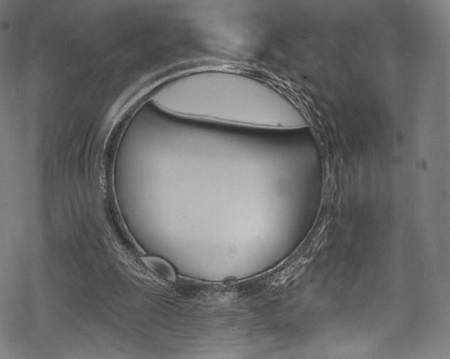 X0000068840247200605050951