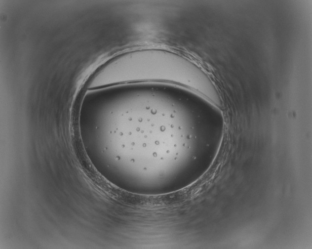 X0000068840248200605050951