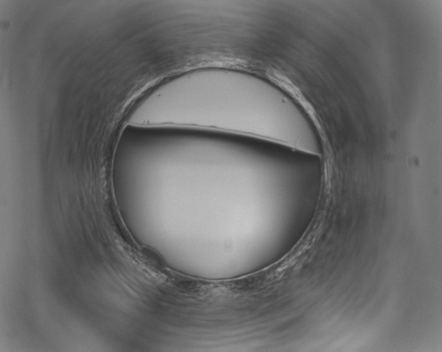 X0000068840249200605050951