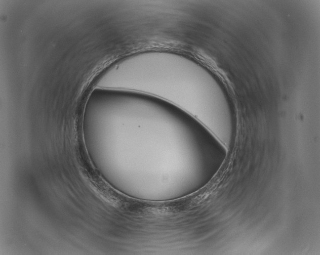 X0000068840250200605050951