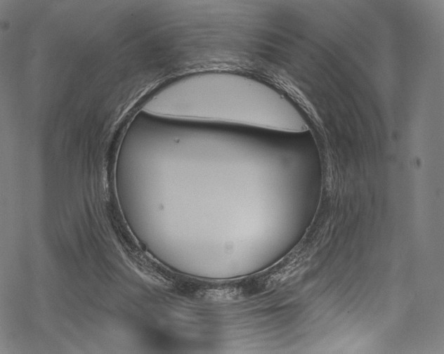 X0000068840251200605050951