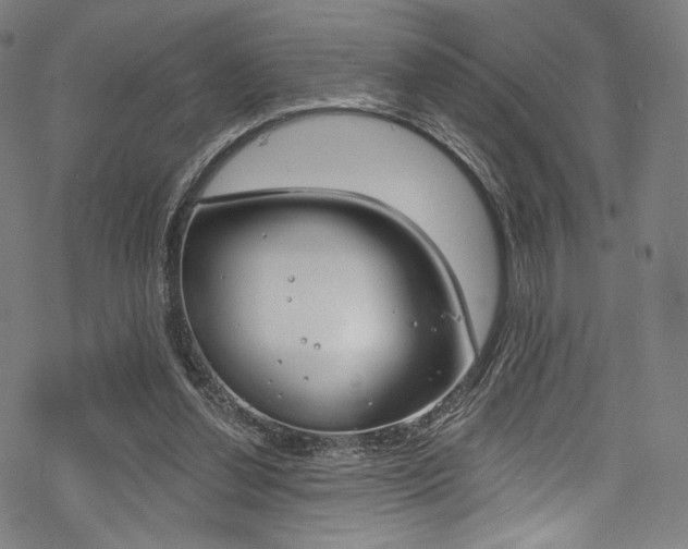 X0000068840252200605050951