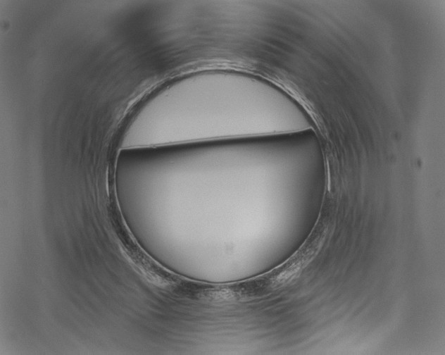 X0000068840253200605050951