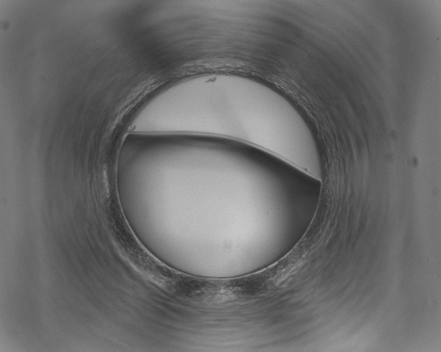 X0000068840254200605050951