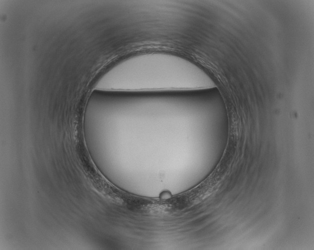 X0000068840255200605050951