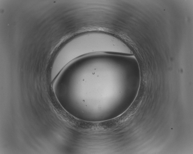 X0000068840256200605050951