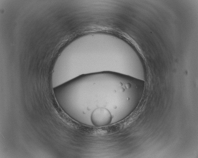 X0000068840257200605050951