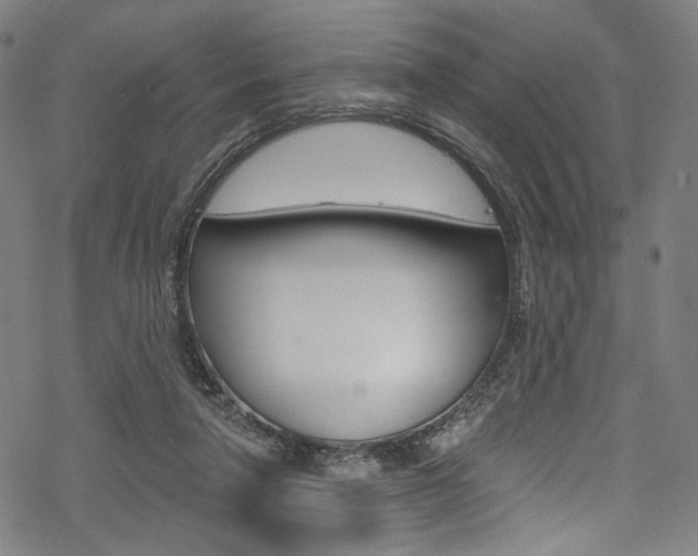 X0000068840258200605050951