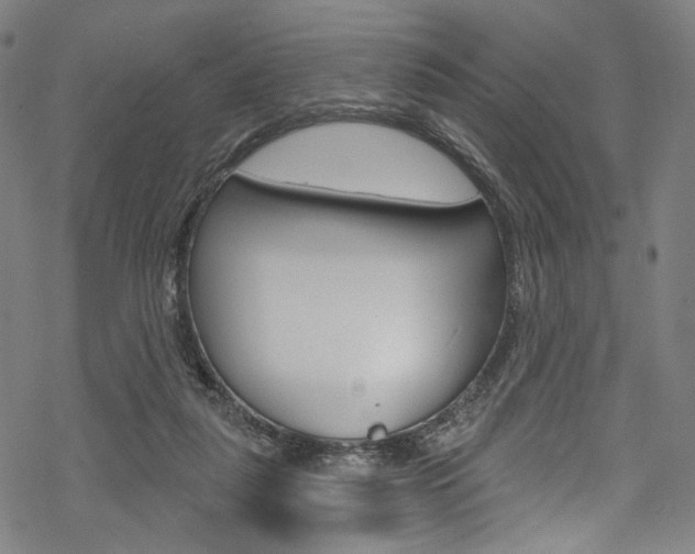 X0000068840259200605050951