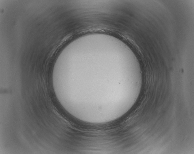 X0000068840260200605050951