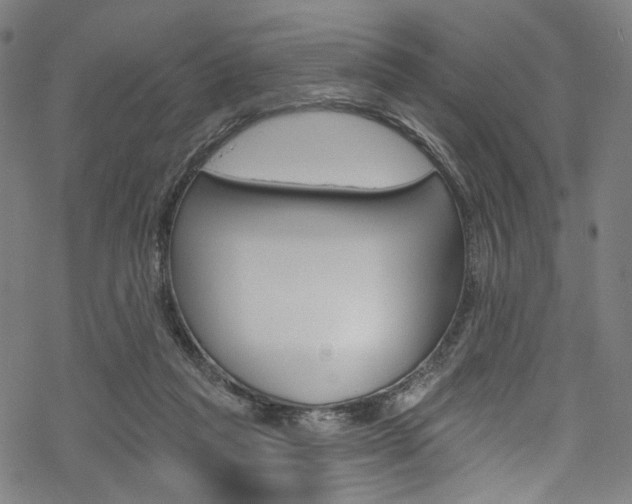 X0000068840261200605050951