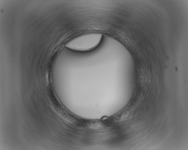 X0000068840262200605050951