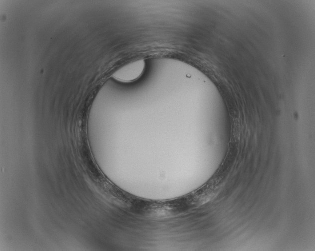 X0000068840263200605050951