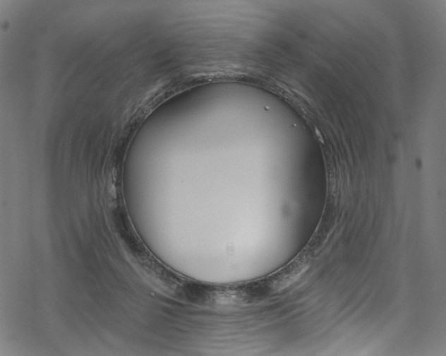 X0000068840264200605050951